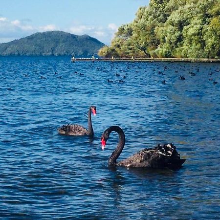 Gemini Lodge Rotorua Exteriér fotografie