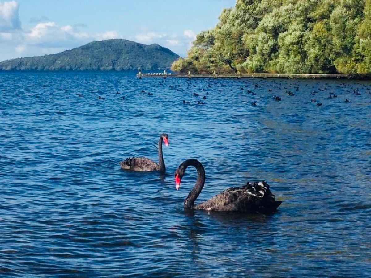 Gemini Lodge Rotorua Exteriér fotografie